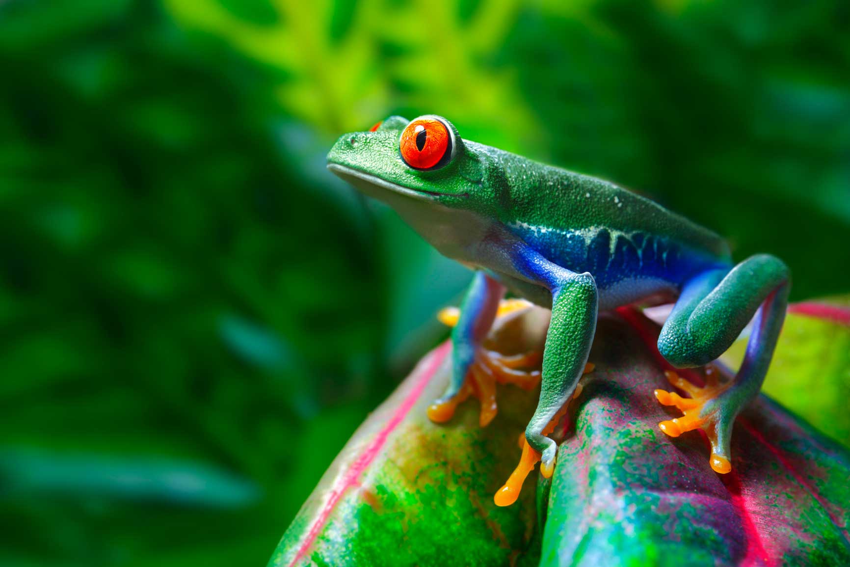 Netrex Digital Marketing met omzetgarantie